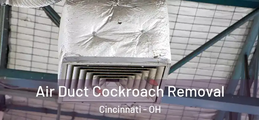 Air Duct Cockroach Removal Cincinnati - OH