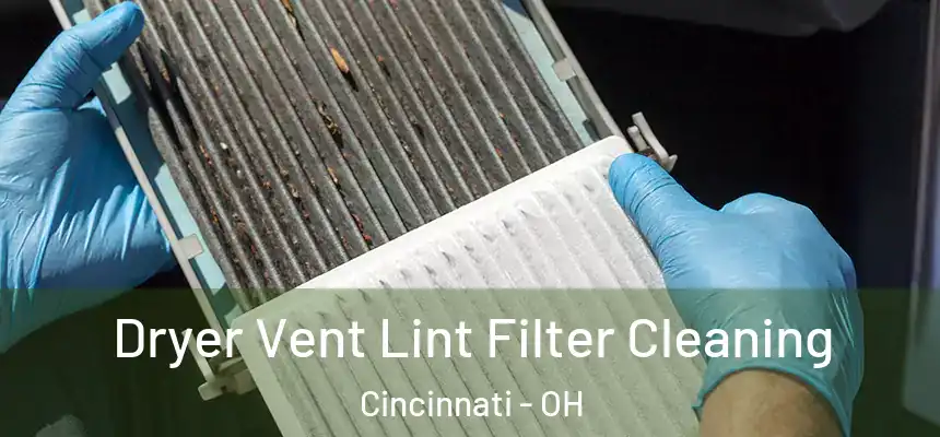 Dryer Vent Lint Filter Cleaning Cincinnati - OH