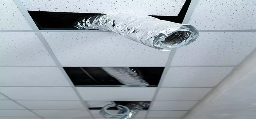 Our Air Duct Pet Hair Removal Services in Cincinnati, OH