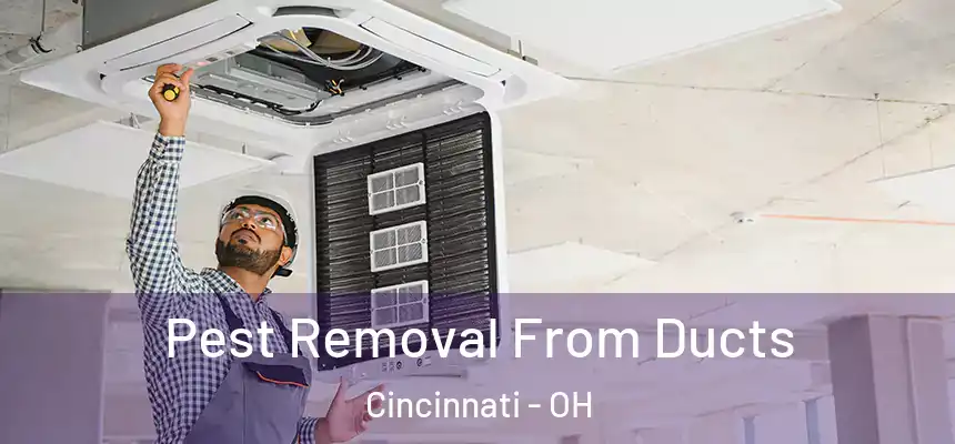 Pest Removal From Ducts Cincinnati - OH