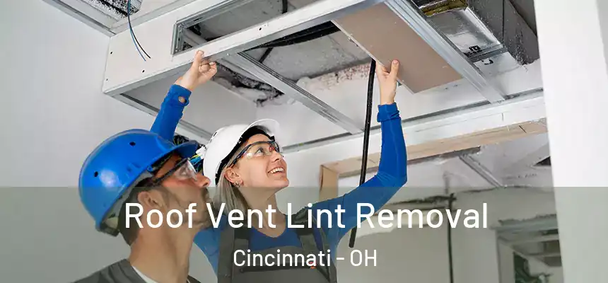 Roof Vent Lint Removal Cincinnati - OH