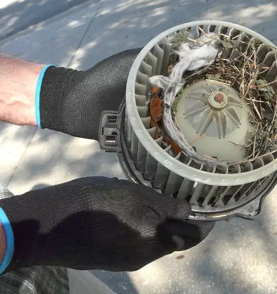 About Air Duct Mice Removal in Cincinnati, OH