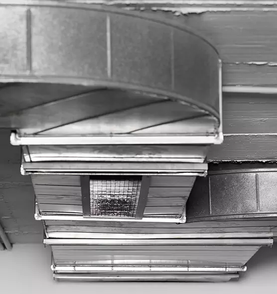 Professional Air Duct Pet Hair Removal in Cincinnati, OH