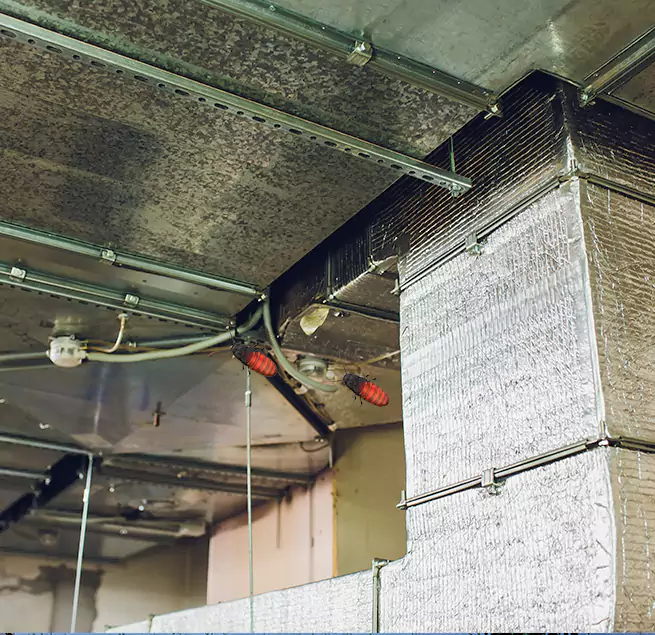 Why Homeowners & Businesses Trust Us in Cincinnati, OH?