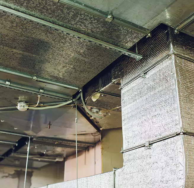 Why Homeowners & Businesses Trust Us in Cincinnati, OH?